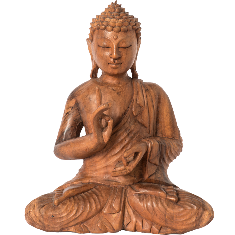 Maximus Light — Sacred Mudras